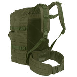 rear straps of kombat molle 40l assault olive green pack
